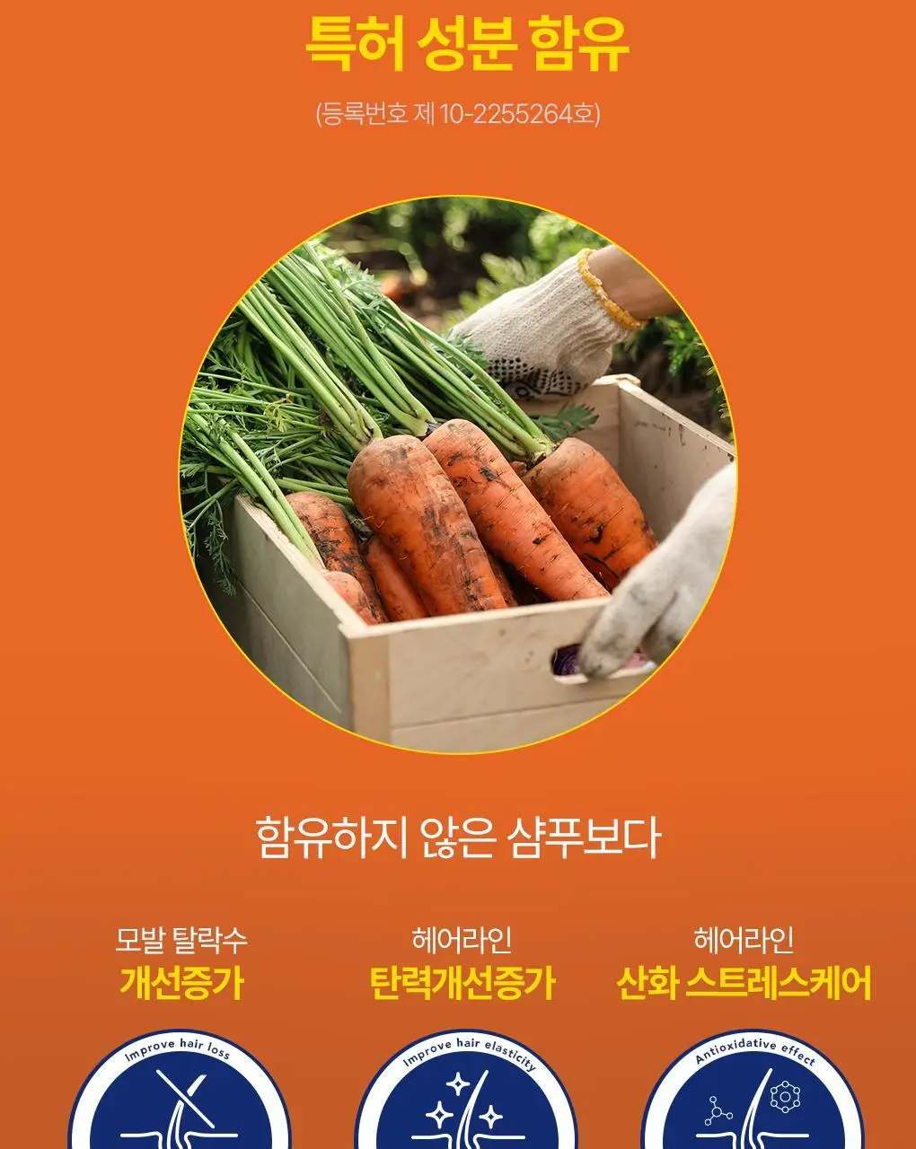 [백호PICK]트리셀 데이/나이트 콜라겐 샴푸 증정 기획 (360ml+120ml) 택 1 상세페이지 39
